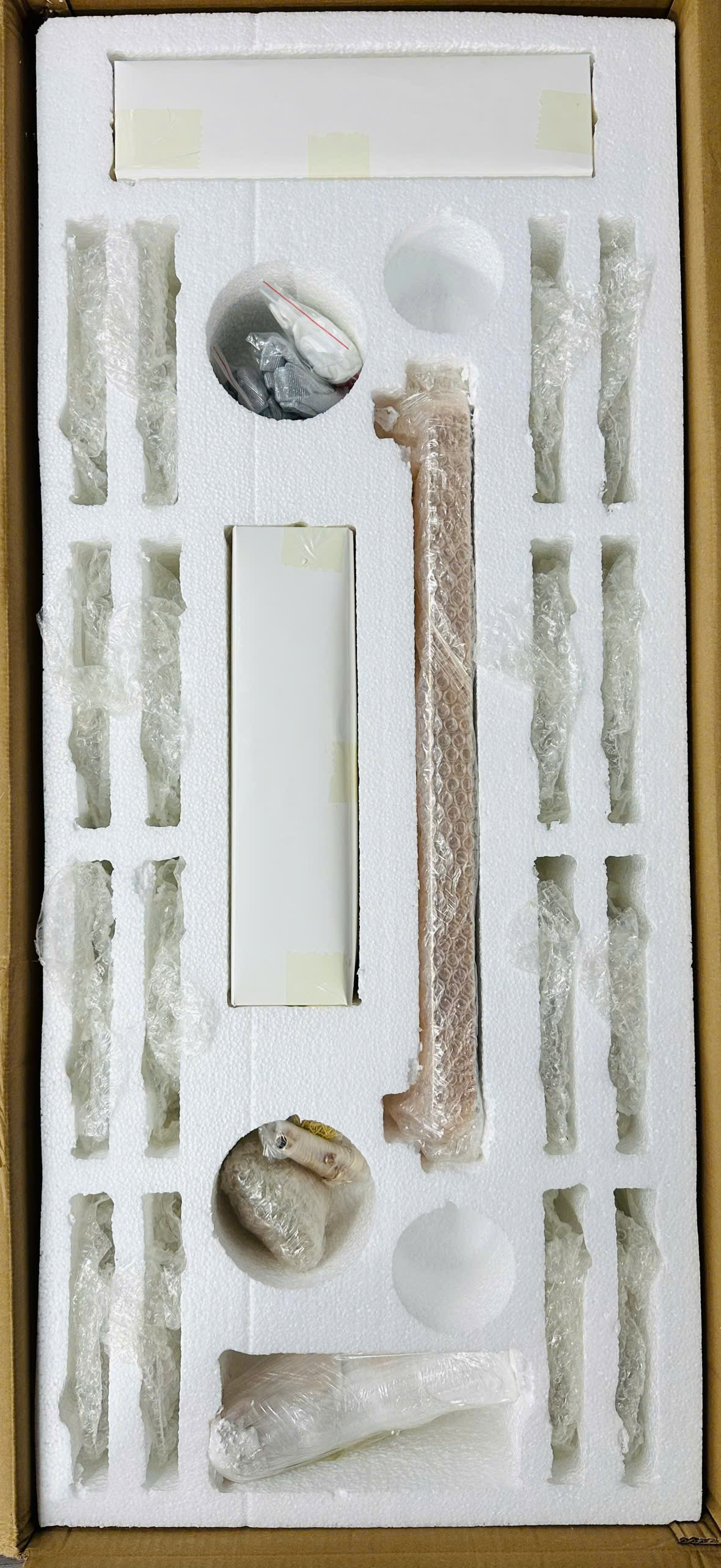 Mở thùng đèn TPL8918N1000